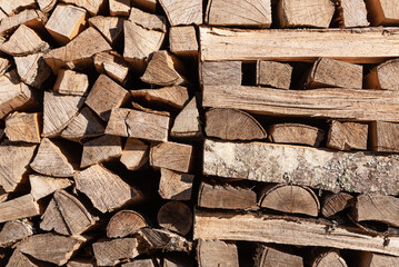 Batch of dry firewood prepared for winter