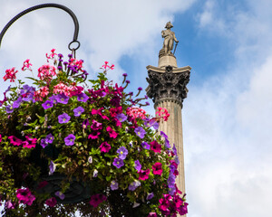 Nelsons Column on Trafalgar Square in London, UK