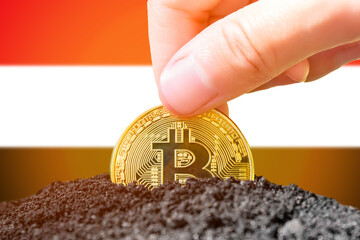 Bitcoin legalization in Yeman. Planting bitcoin in the ground against the background of the flag of...