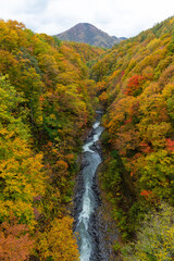 Autumn season landscape in Japan