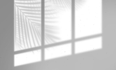 Leaves and window pane shadow overlay effect