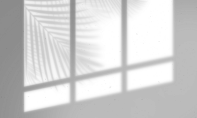 Leaves and window pane shadow overlay effect