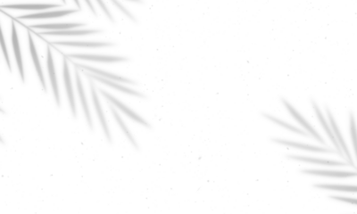 Shadow overlay effect