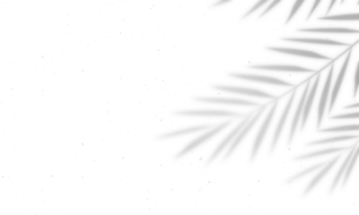 Shadow overlay effect