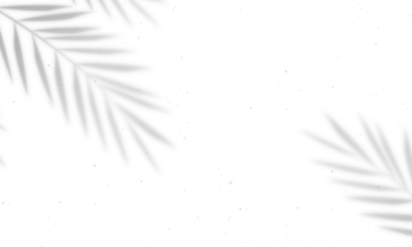 Shadow overlay effect