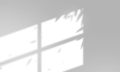 Leaves and window pane shadow overlay effect