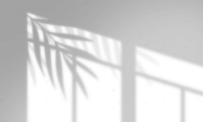 Leaves and window pane shadow overlay effect