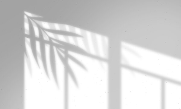 Leaves and window pane shadow overlay effect