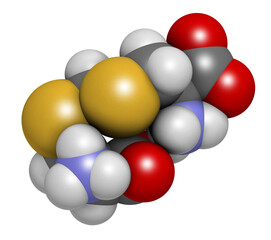 Djenkolic acid molecule. Toxic amino acid found in djenkol beans. 3D rendering. 