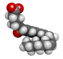 leukotriene A4 (LTA4) molecule. 3D rendering. Atoms are represented as spheres with conventional color coding: hydrogen (white), carbon (grey), oxygen (red).