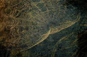 Vintage stylish image of a spider web on a rough concrete background.