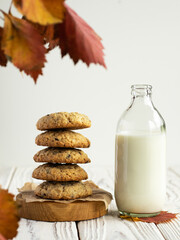 Stack of oatmeal cookies with chocolate nearly bottle of milk. Autumn athmosphere, red and orange leaves. White wooden table. Rustic style