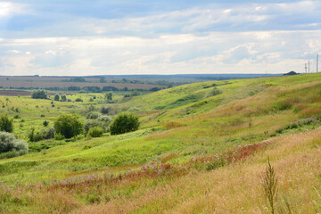 Naklejka premium rolling hills with trees and cloudy sky on background