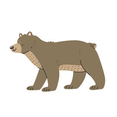 Cute brown bear in cartoon style is standing. Isolated illustration with an animal.