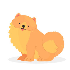The Pomeranian breed dog sits with his tongue sticking out. The character is a dog isolated on a white background. Animal illustration.