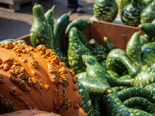close up photos of colorful pumpkins and squash at a local farmer's market