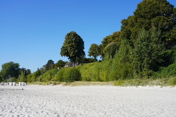 Sonnige Strandlandschaft der L&uuml;becker Bucht mit gr&uuml;n bewachsenem Ufer bei blauem Himmel