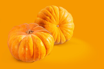 Ripe fresh pumpkin. Squash orange vegetable autumn fruit for food health benefits, or traditional Halloween decoration or a Thanksgiving fall design
