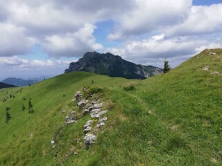 Fototapeta premium landscape with sky