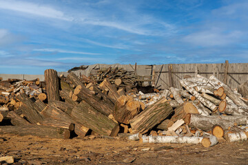 Dry chopped firewood stacked in the yard