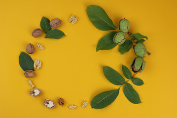 walnut spread out in a circle on a yellow background. High quality photo