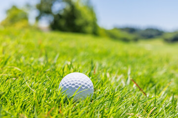 緑の芝生が綺麗なゴルフ場