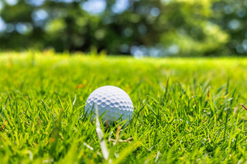 緑の芝生が綺麗なゴルフ場