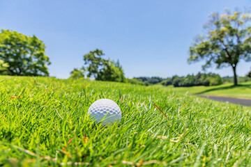 緑の芝生が綺麗なゴルフ場