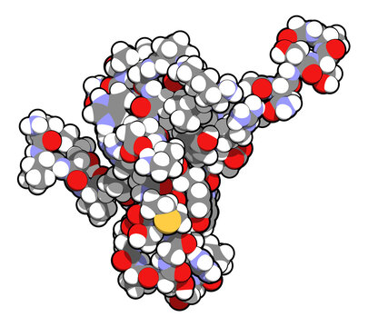 Tau Protein Fragment. May Play A Role In Alzheimer's Disease. 3D Rendering, Atoms Are Represented As Spheres With Conventional Color Coding.