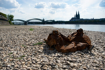 Blick auf den Kölner Dom bei Niedrigwasser, im Vordergrund das trockene Flussbett mit Müll,...