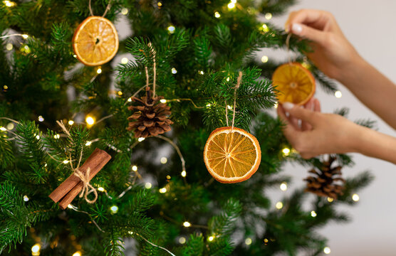 Christmas tree with dried oranges, cones and cinnamon sticks. Female hands hanging decoration. Christmas preparation, xmas, diy.