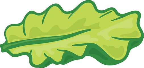 Lettuce icon. Green salad leaf. Cooking ingredient