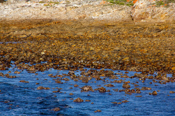 Beautiful beach full of rocks, West coast, South Africa