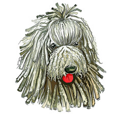 Komondor Dog Breed Watercolor Sketch Hand Drawn Painting Silhouette Sticker Illustration Sublimation EPS Vector Graphic