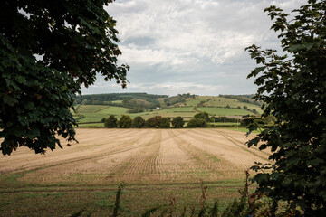 Fototapeta premium Farming on the South downs way