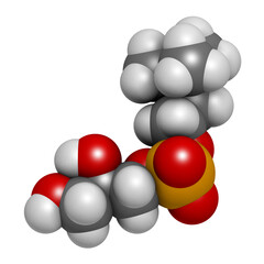 Alpha-GPC (L-Alpha glycerylphosphorylcholine, choline alfoscerate) molecule.  3D rendering. 
