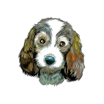 Petit Basset Griffon Vendeen Dog Breed Watercolor Sketch Hand Drawn Painting Silhouette Sticker Illustration Sublimation EPS Vector Graphic