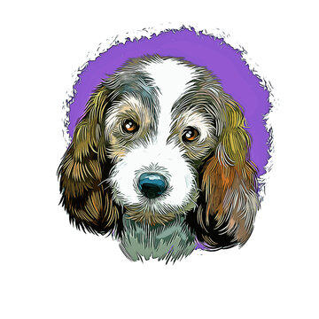 Petit Basset Griffon Vendeen Dog Breed Watercolor Sketch Hand Drawn Painting Silhouette Sticker Illustration Sublimation EPS Vector Graphic