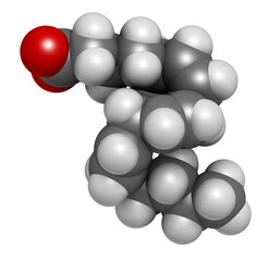 Gamma-linolenic acid (GLA, gamolenic acid) molecule. Omega-6 fatty acid present in many vegetable oils, including evening primrose, chia, hemp and borage seed oils, 3D rendering.