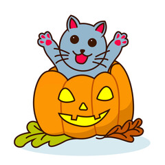 Hallowen Cat and Pumpkin in party