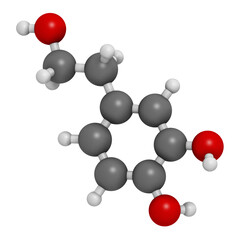 Hydroxytyrosol olive oil antioxidant molecule, 3D rendering.