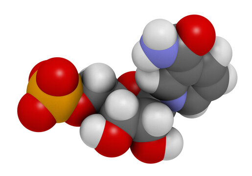 Nicotinamide mononucleotide molecule. Precursor of NAD+, 3D rendering.