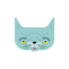 Old cat isolated. Grandpa cat. Vector illustration.