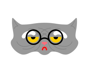 Old cat isolated. Grandpa cat. Vector illustration.