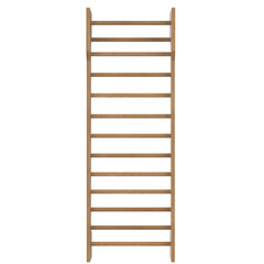 3D rendering illustration of gymnastics wall bars