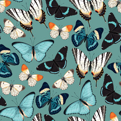 Vector pattern with high detailed tropic butterfly