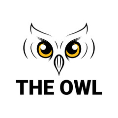 Owl Logo template for your brand. vector logo isolated background
