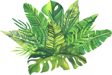 Stickers fenêtre Monstera Set of tropical leaves. Tropical green leaves on white background. Set of hand drawn watercolor illustration. Exotic plants