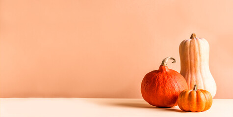 Autumn background with pumpkins