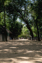 Sand made road in a crocodile park of Chennai